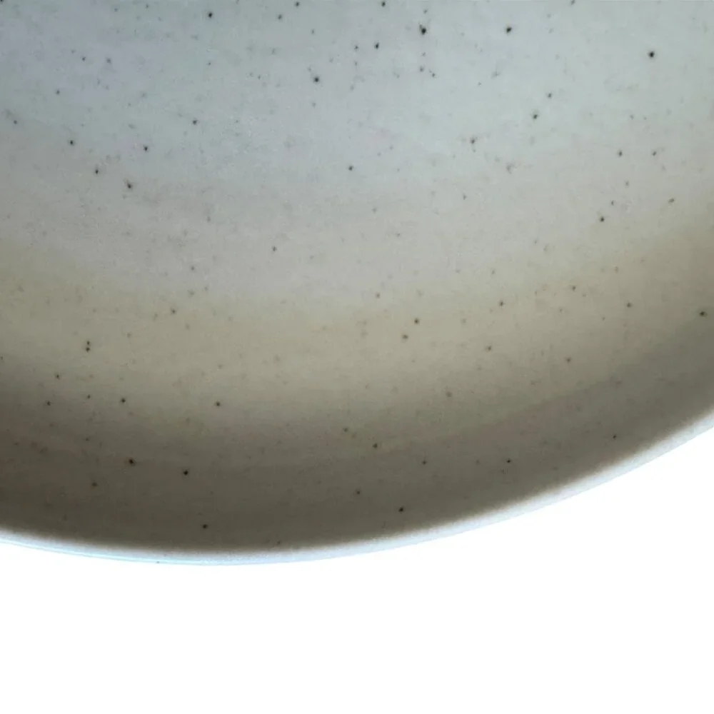 Casafina Ceramic Stoneware 10.5 Dinner Plate Pacifica Collection Vanilla Speckle - Picture 6 of 13